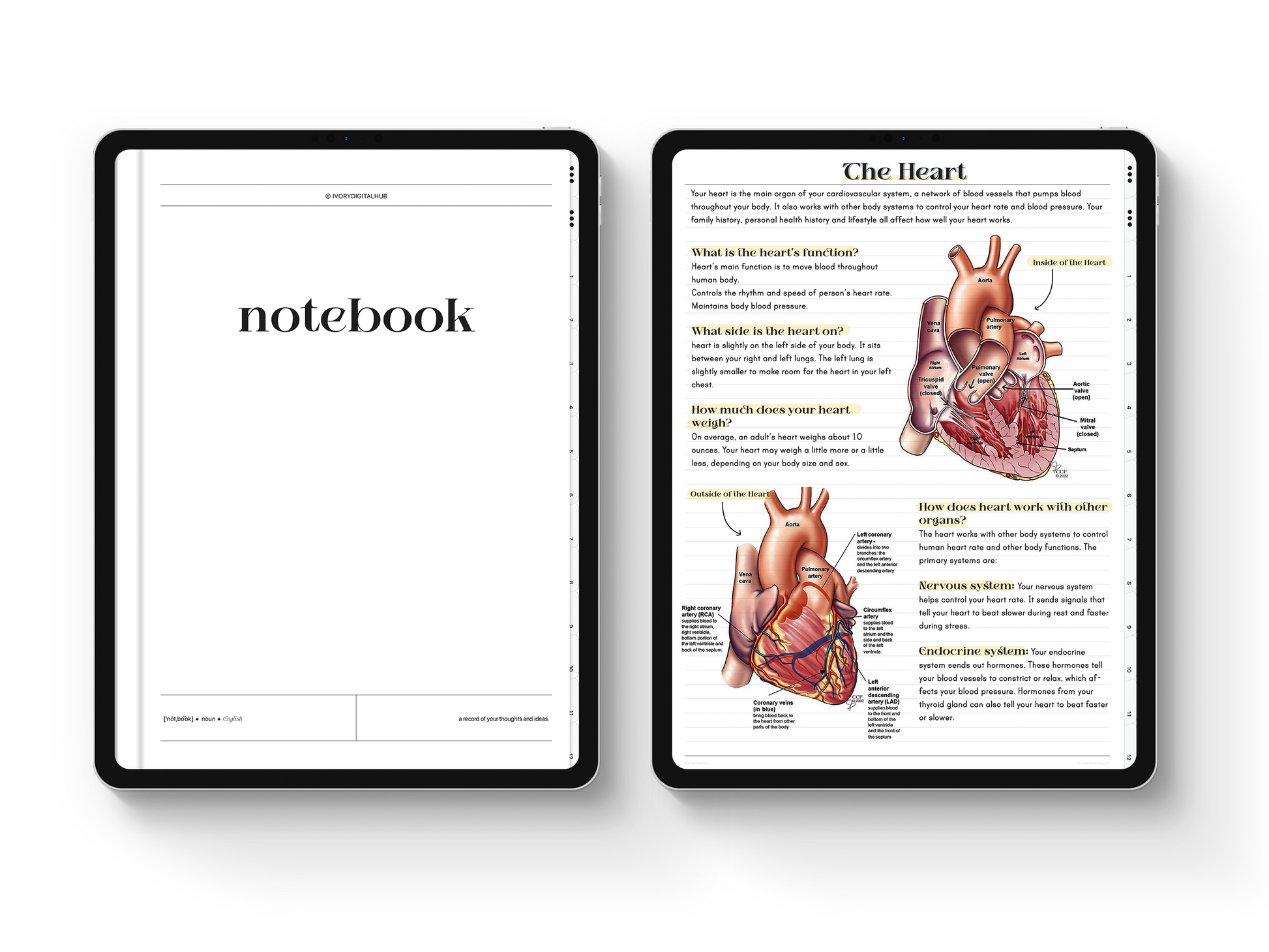 12 Subjects Digital Notebook - Hyperlinked Tabs - Digital Planners | Digital Notebooks | Digital Stickers | Digital Templates