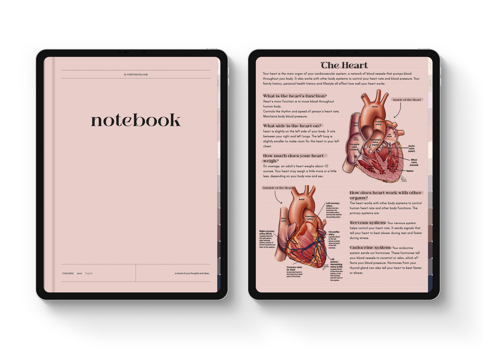 Digital Notebook, Student Notebook, GoodNotes Notebook, Landscape Notebook, iPad Notebook, GoodNotes Templates, Notebook