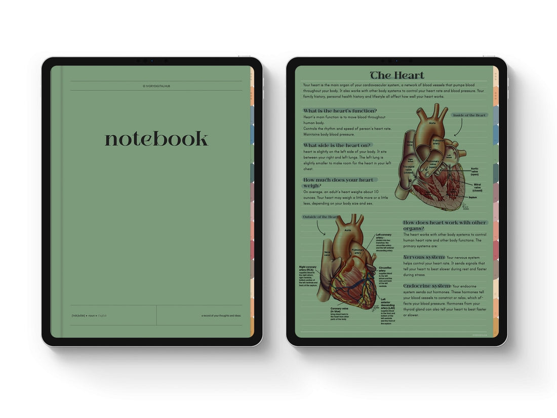 Digital Notebook, Student Notebook, GoodNotes Notebook, Landscape Notebook, iPad Notebook, GoodNotes Templates, Notebook